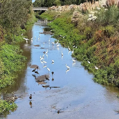 Casa de Férias Acolhedora Casa De T2 Com Espaço Exterior Esmoriz