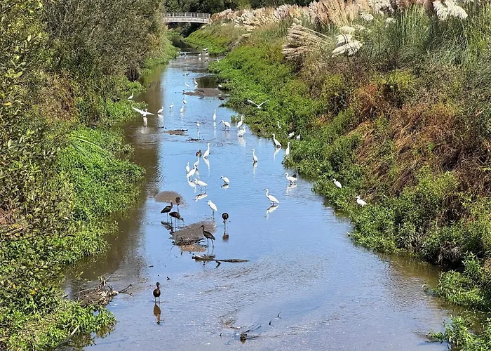 Nyaraló Acolhedora Casa De Ferias T2 Com Espaco Exterior Esmoriz
