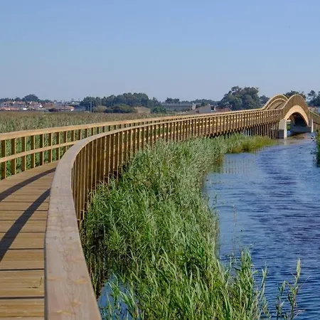 Feriehus Acolhedora Casa De Ferias T2 Com Espaco Exterior Esmoriz