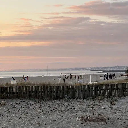 Feriehus Acolhedora Casa De Ferias T2 Com Espaco Exterior Esmoriz