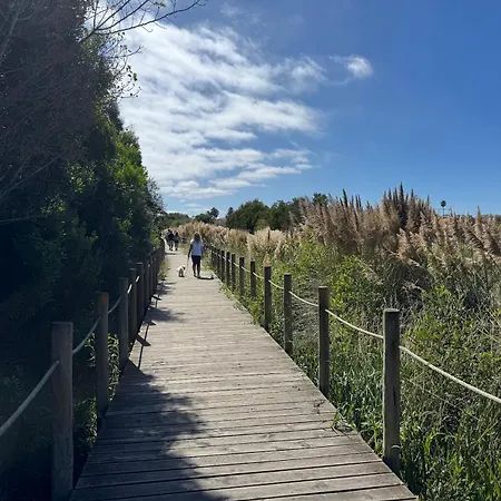 Acolhedora Casa De Ferias T2 Com Espaco Exterior