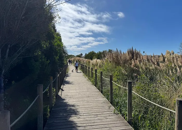 Acolhedora Casa De T2 Com Espaço Exterior