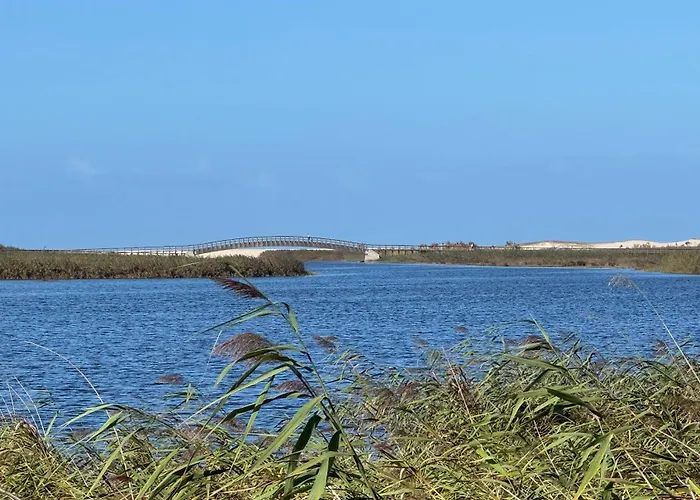 Acolhedora Casa De T2 Com Espaço Exterior *